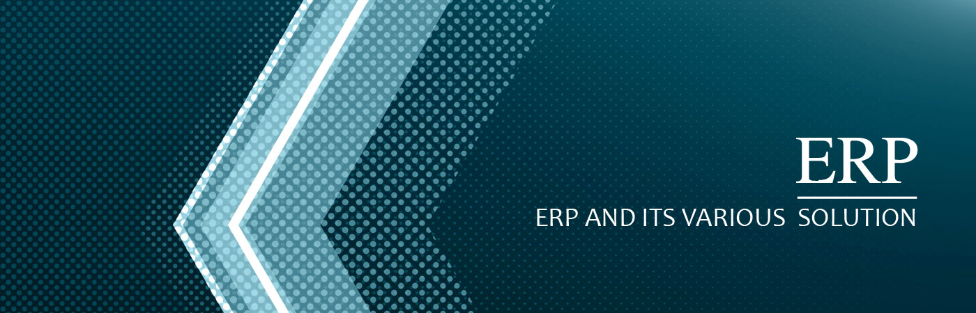 ERP and its various  solutions